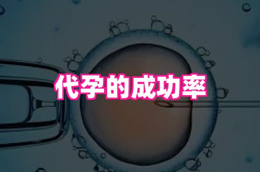 杭州助孕网 1