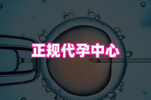杭州助孕网 1