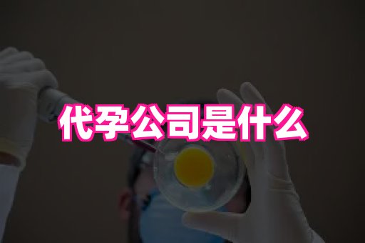 杭州助孕网 2