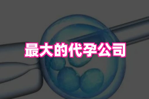 杭州助孕网 3