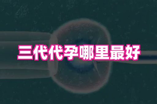 杭州助孕网 4