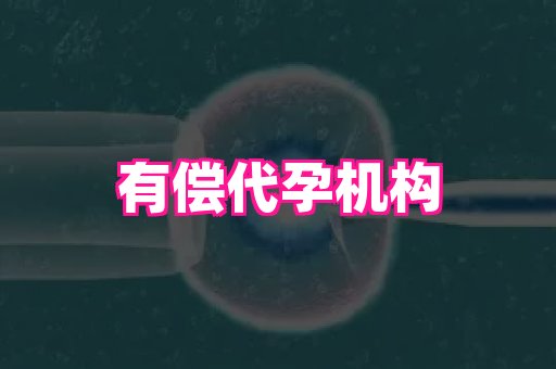 杭州助孕网 4
